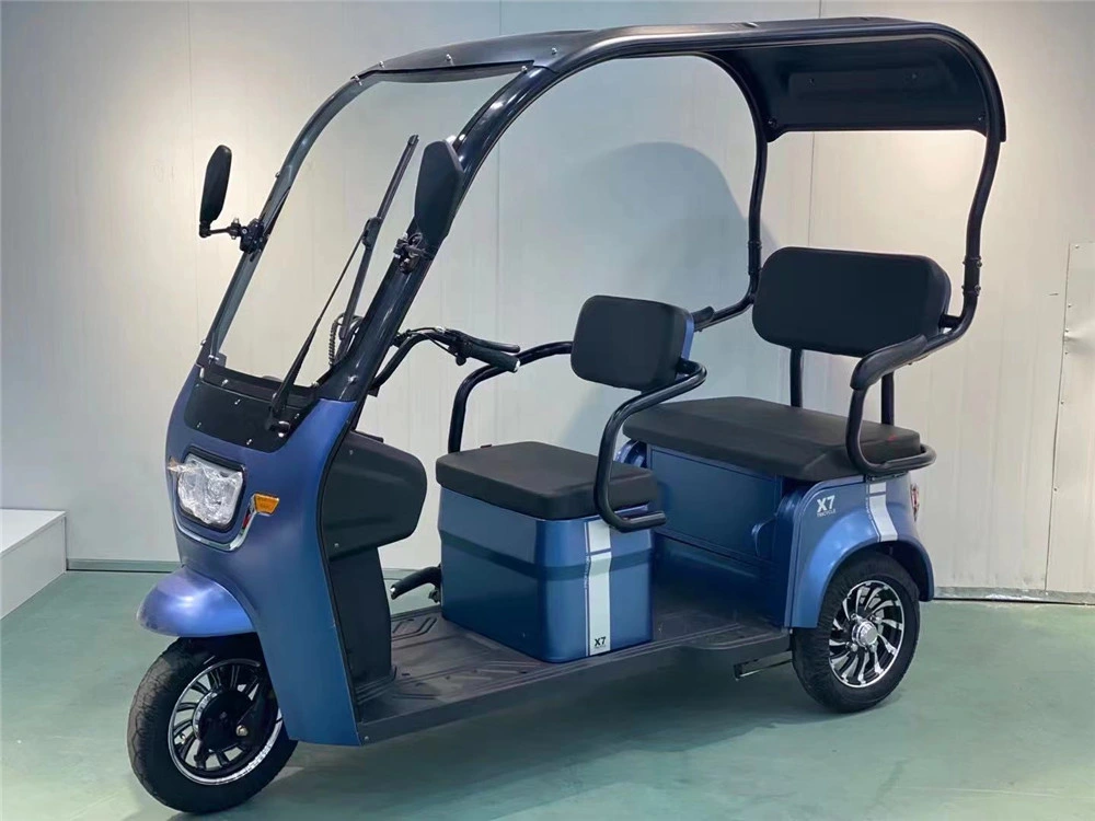 Electric Tricycle Integrated Shed with Windshield Wiper Adult Recreational Electric Car