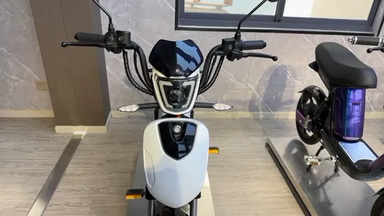 Syev EEC Electric Scooter for Adult with 800W Brushless DC Motor Shenyun