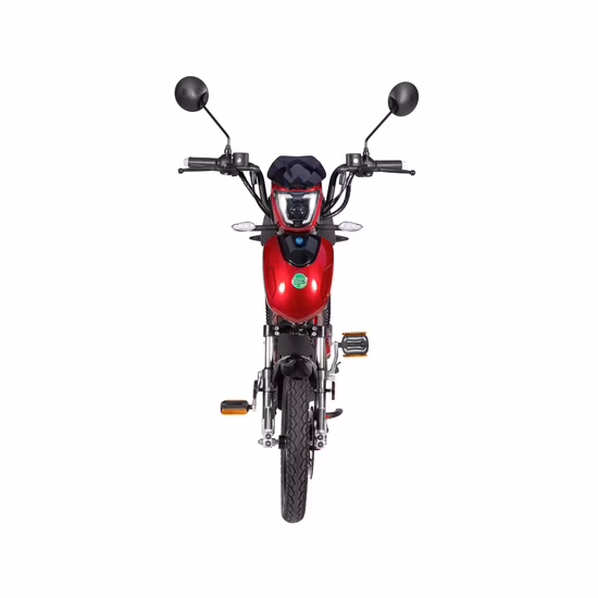 Syev EEC Electric Scooter for Adult with 800W Brushless DC Motor Shenyun