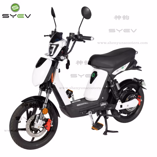 Syev EEC Electric Scooter for Adult with 800W Brushless DC Motor Shenyun