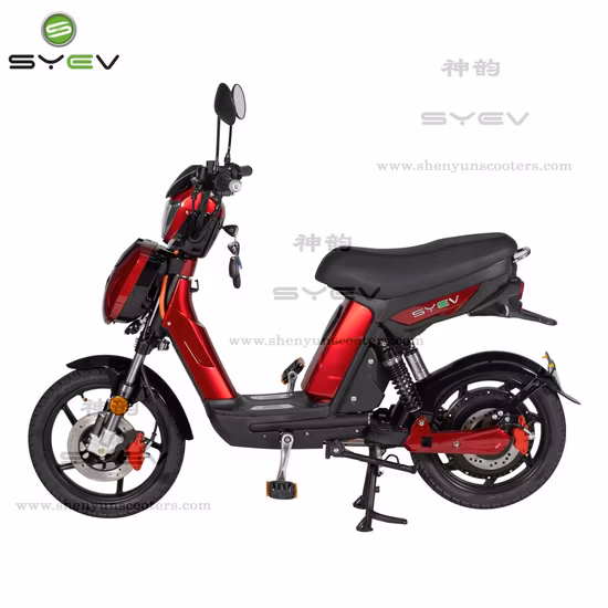 Syev EEC Electric Scooter for Adult with 800W Brushless DC Motor Shenyun