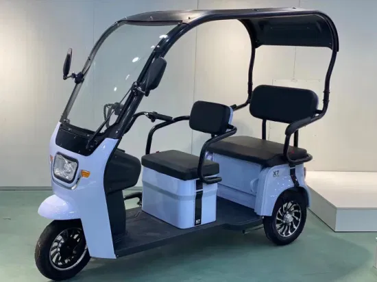 Capannone integrato per triciclo elettrico con tergicristallo Auto elettrica ricreativa per adulti