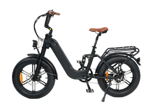 Queene/48V 750W Batteria nascosta Fat Tire Electric E