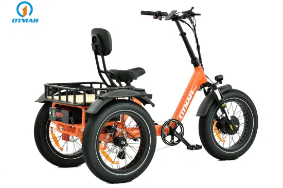 Triciclo elettrico con motore posteriore per pneumatici grassi da carico con batteria grande da 48 V rimovibile