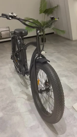 Cina Bicicletta elettrica Ebike per pneumatici grassi da 750 W per uomo con sospensione completa